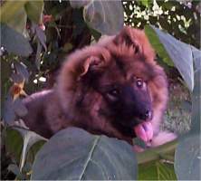 Me BelleJane you ?