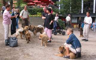 Tivoli hundeparade Eurasier 2002