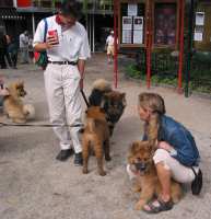 Tivoli hundeparade Eurasier 2002