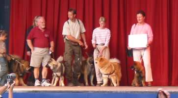 Tivoli hundeparade Eurasier 2002 on stage.