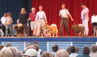 Tivoli hundeparade Eurasier 2002 on stage.