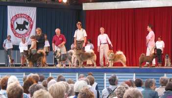 Tivoli hundeparade Eurasier 2002 on stage.