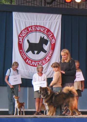 Tivoli hundeparade Eurasier 2002 on stage.