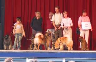 Tivoli hundeparade Eurasier 2002 on stage.