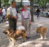 Tivoli hundeparade Eurasier 2002 Phey så er det overstået...