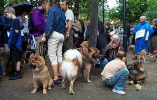 Tivoli hundeparade Eurasier 2002