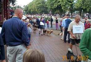 Tivoli hundeparade Eurasier 2002