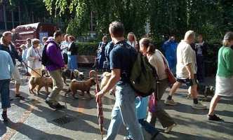 Tivoli hundeparade Eurasier 2002