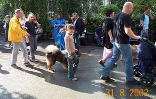 Se min flotte Belle - Tivoli hundeparade Eurasier 2002