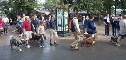 Tivoli hundeparade Eurasier 2002