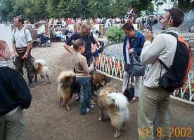 Tivoli hundeparade Eurasier 2002