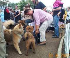 Tivoli hundeparade Eurasier 2002