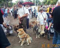 Tivoli hundeparade Eurasier 2002