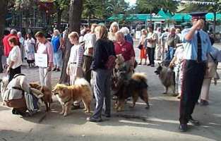 Tivoli hundeparade Eurasier 2002