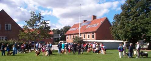 Eurasier tr&aelig;f Sj&aelig;lland 2002