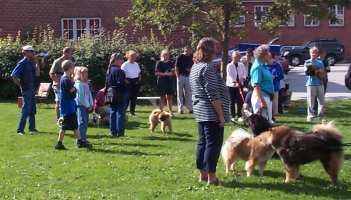 Eurasier tr&aelig;f Sj&aelig;lland 2002