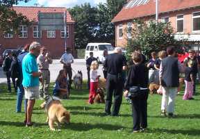 Eurasier tr&aelig;f Sj&aelig;lland 2002