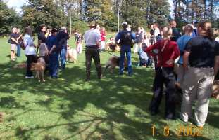 Eurasier tr&aelig;f Sj&aelig;lland 2002