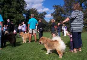 Eurasier tr&aelig;f Sj&aelig;lland 2002