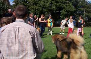 Eurasier tr&aelig;f Sj&aelig;lland 2002