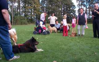 Eurasier tr&aelig;f Sj&aelig;lland 2002