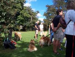 Eurasier tr&aelig;f Sj&aelig;lland 2002