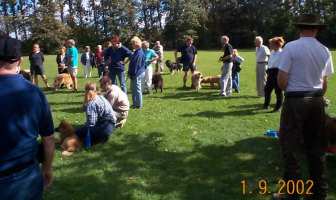 Eurasier tr&aelig;f Sj&aelig;lland 2002
