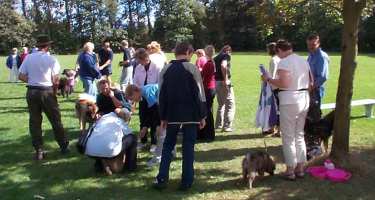 Eurasier tr&aelig;f Sj&aelig;lland 2002