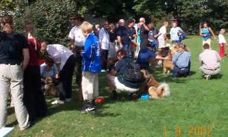 Eurasier tr&aelig;f Sj&aelig;lland 2002