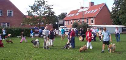 Eurasier tr&aelig;f Sj&aelig;lland 2002