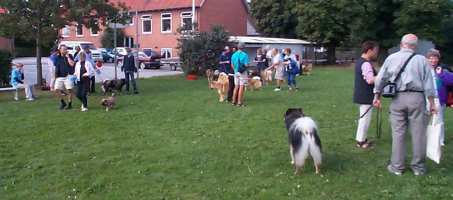 Eurasier tr&aelig;f Sj&aelig;lland 2002