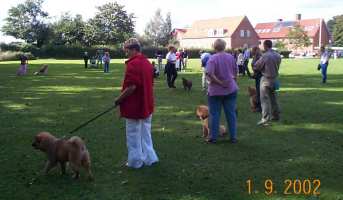 Eurasier tr&aelig;f Sj&aelig;lland 2002