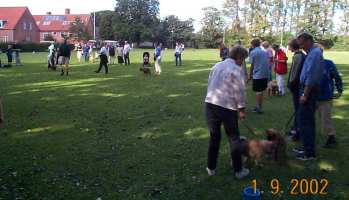 Eurasier tr&aelig;f Sj&aelig;lland 2002