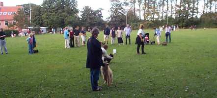 Eurasier tr&aelig;f Sj&aelig;lland 2002