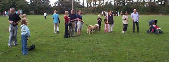 Eurasier tr&aelig;f Sj&aelig;lland 2002
