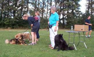 Eurasier tr&aelig;f Sj&aelig;lland 2002