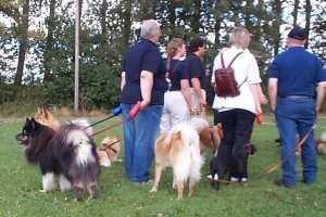 Eurasier tr&aelig;f Sj&aelig;lland 2002