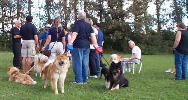Eurasier tr&aelig;f Sj&aelig;lland 2002