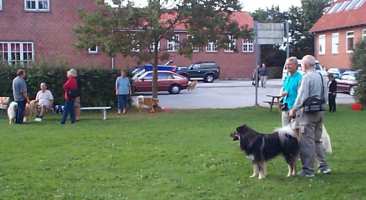 Eurasier tr&aelig;f Sj&aelig;lland 2002