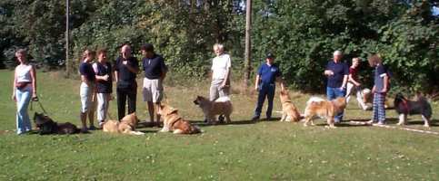 Eurasier tr&aelig;f Sj&aelig;lland 2002
