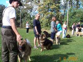 Eurasier tr&aelig;f Sj&aelig;lland 2002