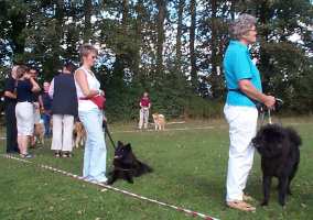 Eurasier tr&aelig;f Sj&aelig;lland 2002