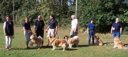 Eurasier tr&aelig;f Sj&aelig;lland 2002