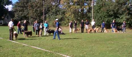 Eurasier tr&aelig;f Sj&aelig;lland 2002