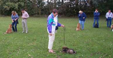 Eurasier tr&aelig;f Sj&aelig;lland 2002
