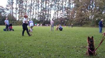 Eurasier tr&aelig;f Sj&aelig;lland 2002