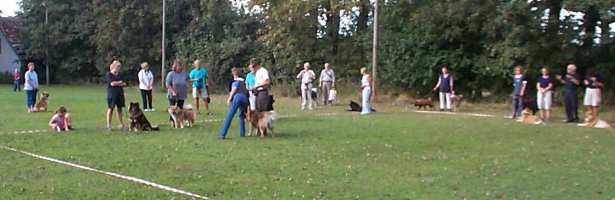 Eurasier tr&aelig;f Sj&aelig;lland 2002