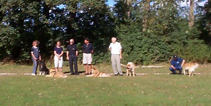 Eurasier tr&aelig;f Sj&aelig;lland 2002