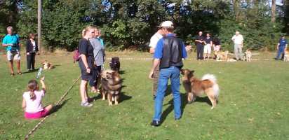 Eurasier tr&aelig;f Sj&aelig;lland 2002