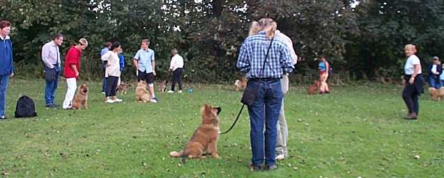 Eurasier tr&aelig;f Sj&aelig;lland 2002